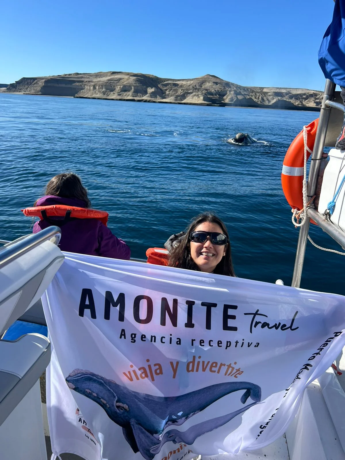 Amonite Travel 6